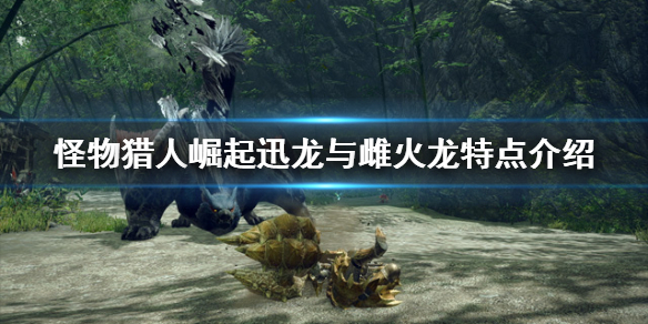 怪物猎人崛起雷狼龙怎么样（怪物猎人崛起雷狼龙怎么样打）