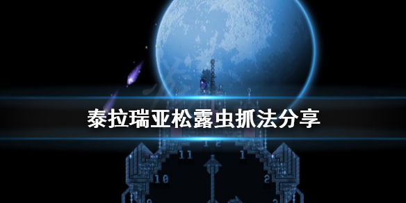 泰拉瑞亚松露虫怎么抓 泰拉瑞亚和树妖结婚有什么用