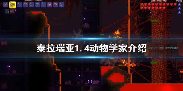 泰拉瑞亚1.4动物学家介绍（泰拉瑞亚动物学家图鉴）