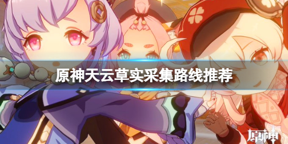 原神天云草实位置在哪（原神天云草实有什么用）