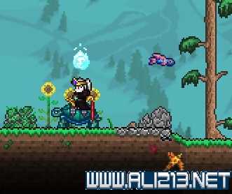 《泰拉瑞亚》部分坐骑图文介绍