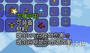 泰拉瑞亚召唤师装备详解 泰拉瑞亚召唤师有哪些装备 蜘蛛魔杖