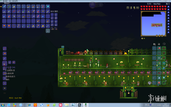 泰拉瑞亚专家模式流程图文直播 泰拉瑞亚专家模式BOSS攻略