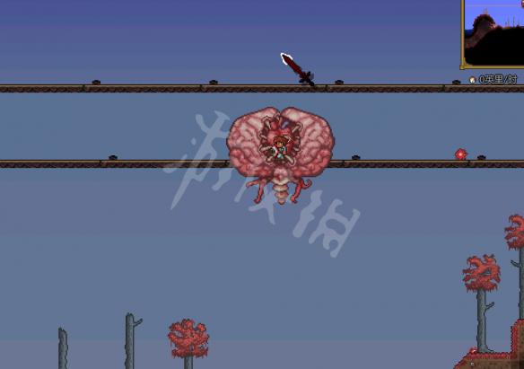 泰拉瑞亚专家BOSS打法详解 泰拉瑞亚专家BOSS怎么打 史莱姆王