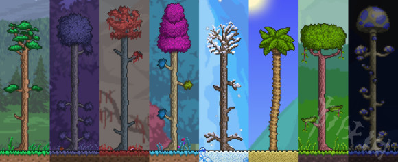 泰拉瑞亚植物怎么进行生长 泰拉瑞亚植物生长机制详解