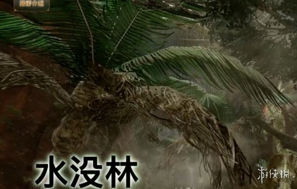 怪物猎人崛起原野有哪些 怪物猎人崛起原野地形一览