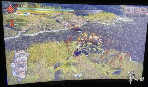 怪物猎人崛起丸鸟的蛋怎么获得 丸鸟的蛋获得方法