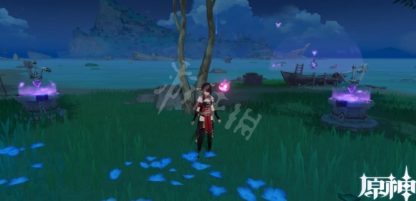 原神海螺屋雷神瞳在哪 原神海螺屋雷神瞳解密技巧