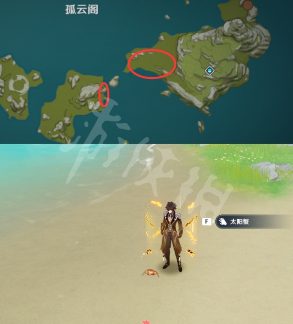 原神螃蟹在哪捕捉 原神全种类螃蟹捕捉位置一览