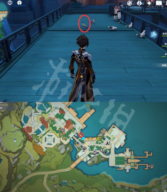 原神禽鸟在哪抓 原神全禽鸟捕捉位置一览