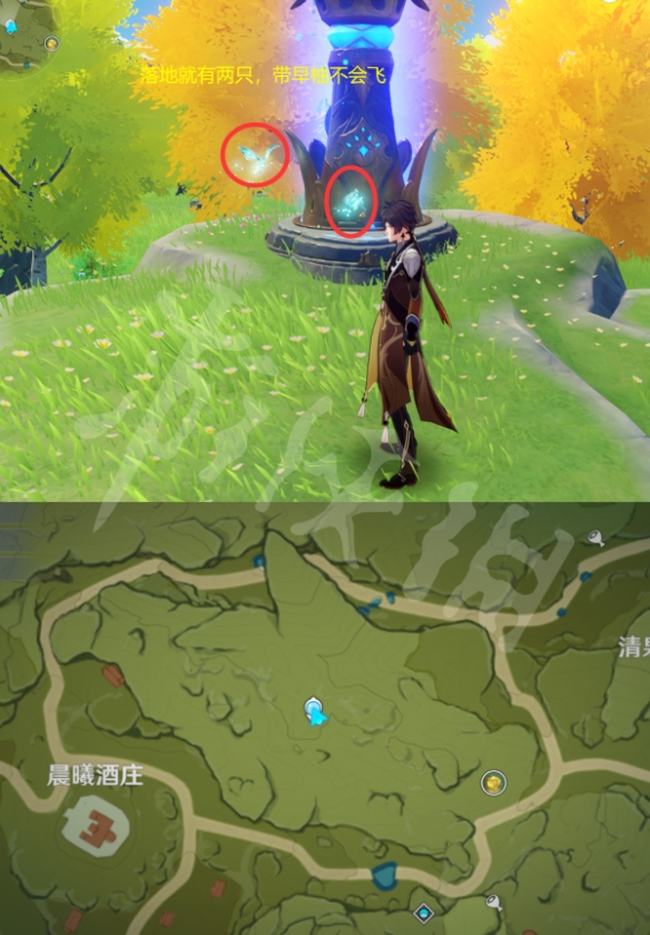 原神晶蝶在哪捕捉 原神全种类晶蝶捕捉位置介绍