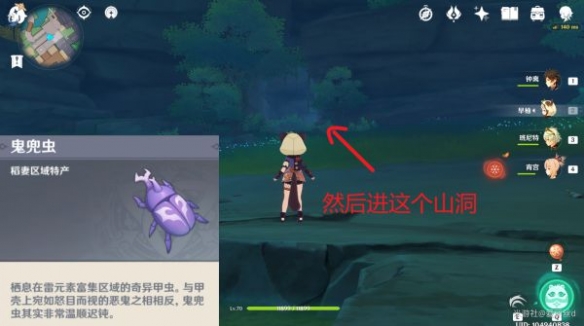 原神鬼兜虫哪里多 鬼兜虫收集点位介绍