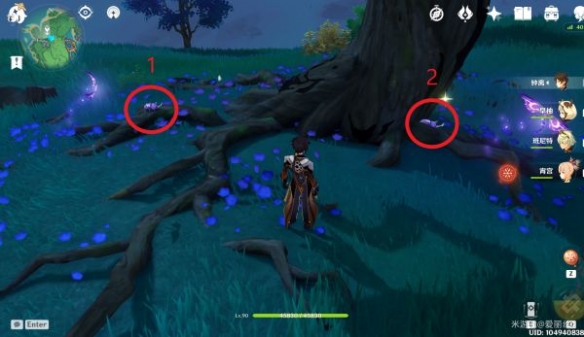 原神鬼兜虫哪里多 鬼兜虫收集点位介绍