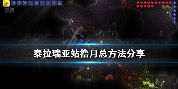 泰拉瑞亚月总怎么站撸（泰拉瑞亚月总快速打法）