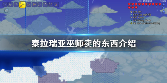 泰拉瑞亚巫师卖什么 泰拉瑞亚巫师卖什么东西