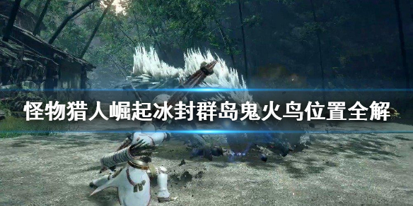 怪物猎人崛起冰封群岛鬼火鸟在哪（怪物猎人崛起冰封群岛稀有生物）