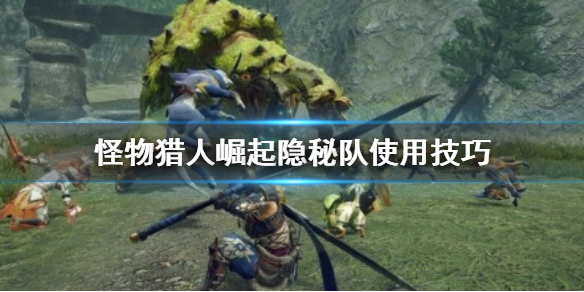 怪物猎人崛起隐秘队怎么用（怪物猎人崛起隐秘队怎么用技能点）
