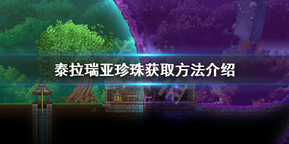 泰拉瑞亚珍珠怎么获得（泰拉瑞亚珍珠石块在哪里）