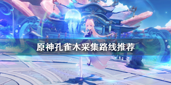 原神孔雀木哪里最多(原神孔雀秘宝在哪)