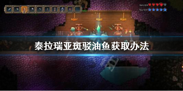 泰拉瑞亚斑驳油鱼在哪里钓 泰拉瑞亚斑驳油鱼钓力要求