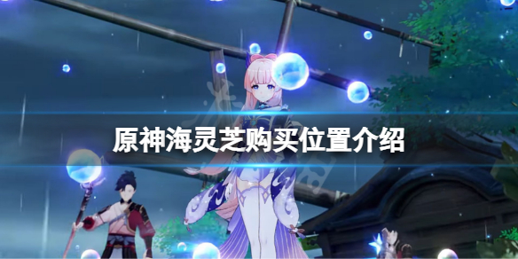 原神海灵芝哪里买（原神海灵芝哪里买须弥）