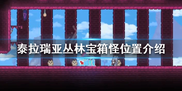 泰拉瑞亚丛林宝箱怪在哪 泰拉瑞亚丛林宝箱