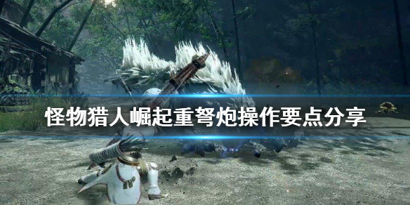 怪物猎人崛起重弩炮操作要点是什么（怪物猎人崛起重弩招式）