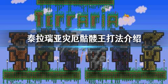 泰拉瑞亚灾厄骷髅王怎么打 泰拉瑞亚骷髅王boss