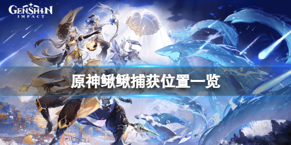 原神鳅鳅在哪抓 原神鳅鳅有什么用