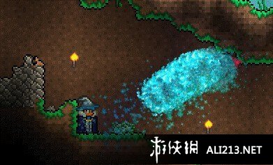 《泰拉瑞亚》猪鲨掉落物及打法说明