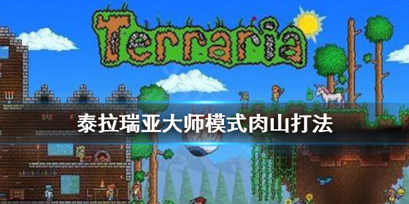 泰拉瑞亚大师模式怎么打肉山（泰拉瑞亚大师模式打肉山要搭多少个方块）