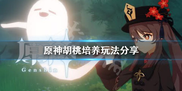 原神胡桃怎么培养