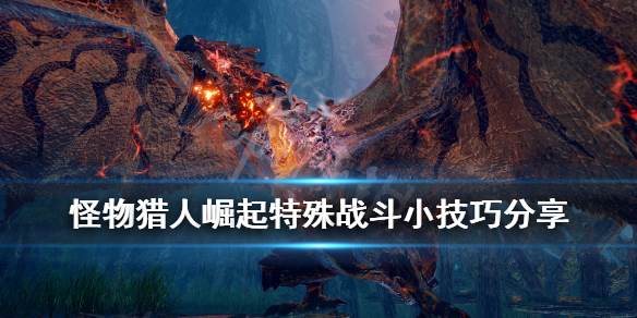 怪物猎人崛起战斗有什么技巧（怪物猎人崛起战斗中怎么调和）