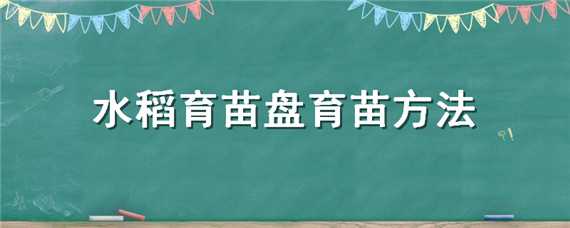 水稻育苗盘育苗方法（水稻育苗盘尺寸）