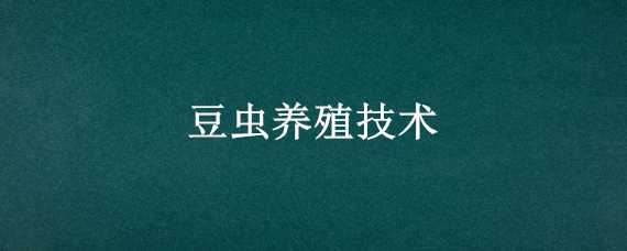 豆虫养殖技术（豆青虫养殖技术）