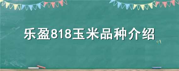 乐盈818玉米品种介绍（丰乐818玉米种特性）