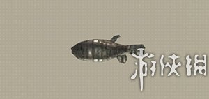 尼尔机械纪元钓鱼全鱼类收集攻略 钓鱼成就怎么完成 Arowana