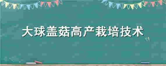 大球盖菇高产栽培技术 大球盖菇高产栽培技术百度百科