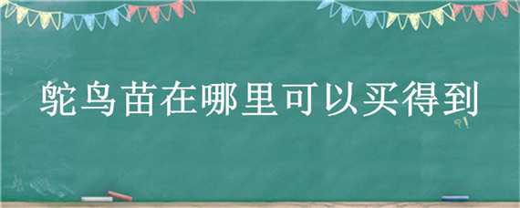 鸵鸟苗在哪里可以买得到 鸵鸟苗在哪里可以买得到的