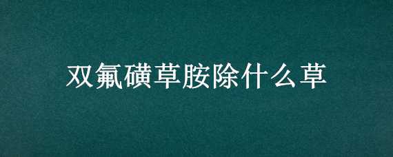 双氟磺草胺除什么草 双氟唑嘧胺除什么草