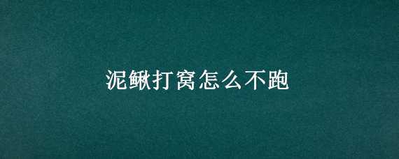 泥鳅打窝怎么不跑（泥鳅怎么打窝怎么不跑）