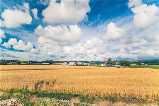 未来15年中国乡村什么样 未来五年乡村