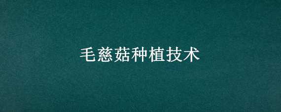 毛慈菇种植技术 毛慈菇种植技术基地