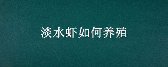 淡水虾如何养殖 淡水虾养殖