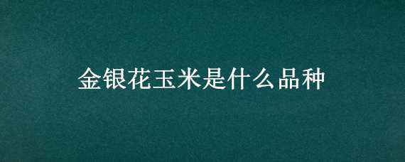 金银花玉米是什么品种 金银花什么品种高产