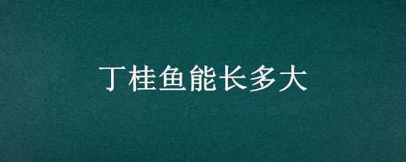 丁桂鱼能长多大（丁桂鱼一年长多重）