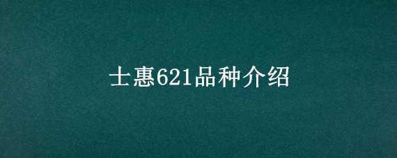 士惠621品种介绍 士惠623