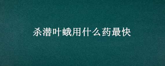 杀潜叶蛾用什么药最快 潜叶蛾特效杀虫药