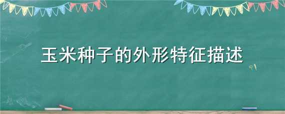 玉米种子的外形特征描述（玉米种子的外形特征描述词语）