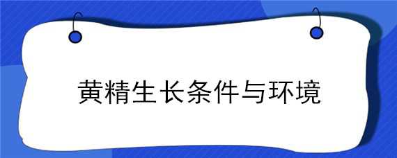 黄精生长条件与环境 黄精生长条件与环境有关吗